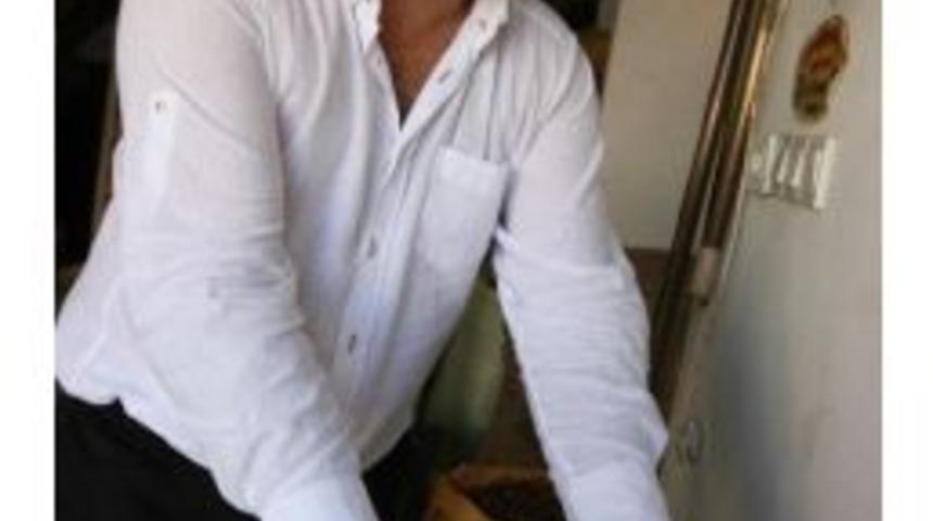 Fındık Yeni Sezonu 12 Tl&rsquo;den A&ccedil;ıyor