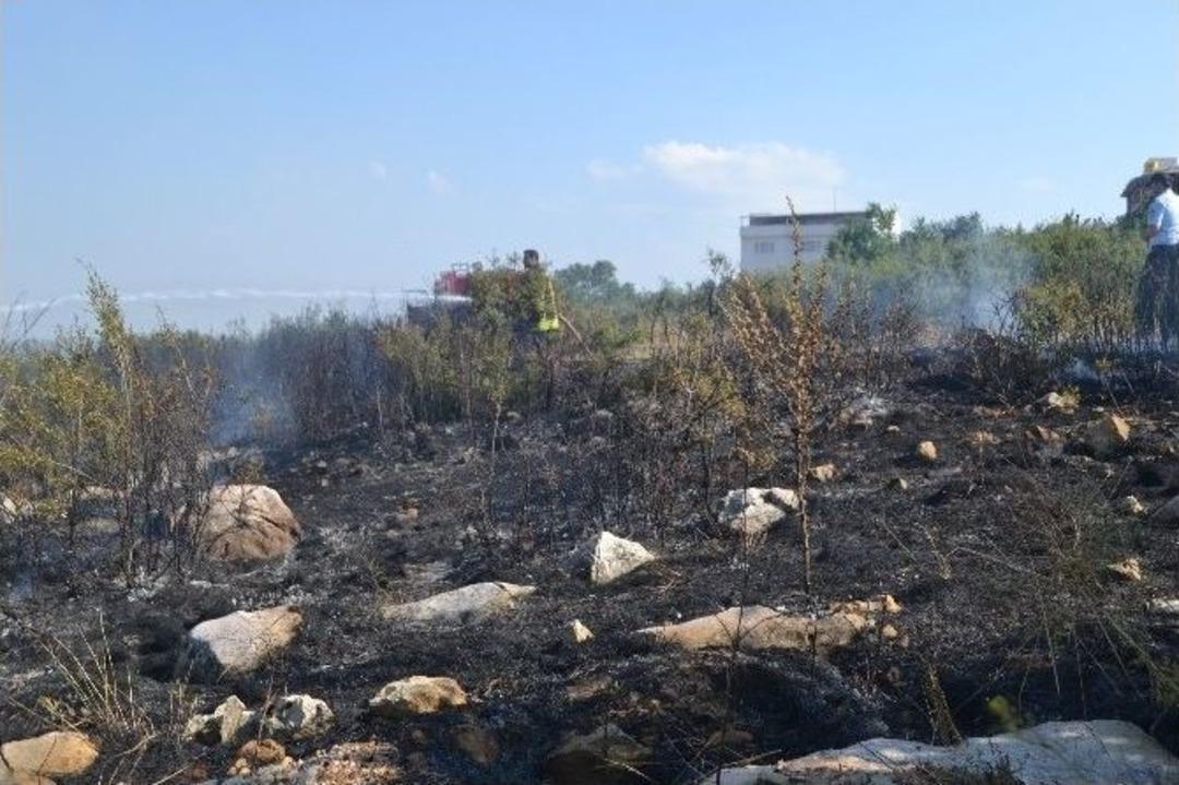 Bilecik&rsquo;te Ot Yangınının En Şanslısı