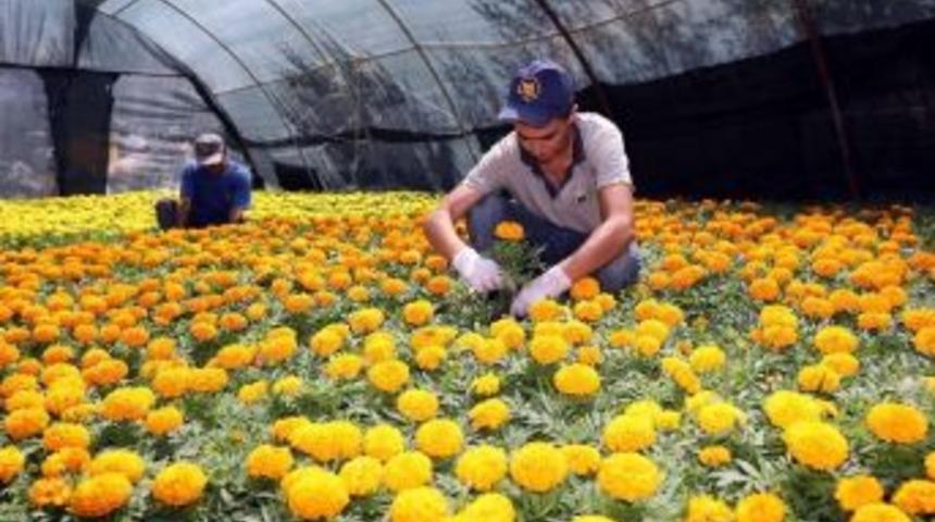 Yenimahalle 4 Mevsim Rengarenk