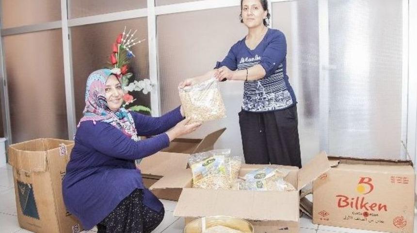 Ahlat Eriştesi T&uuml;rkiye Pazarında