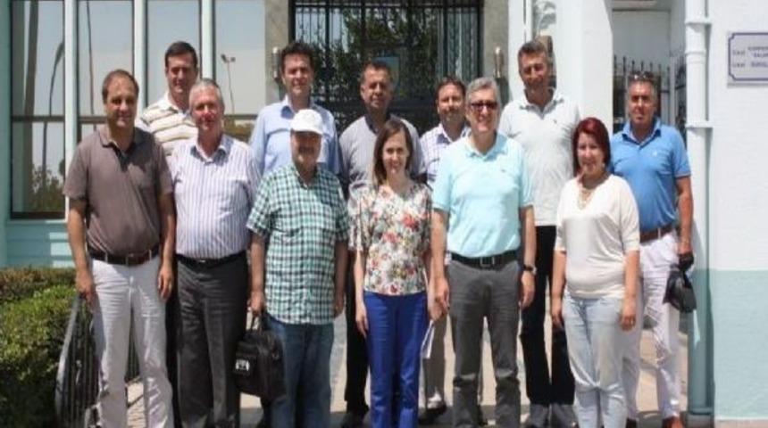 Bu Yıl Buğdaydaki Protein Değerleri Düşük