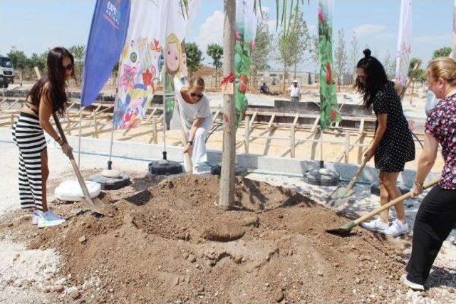 Expo 2016'ya 19'uncu Ağaç Serebro Grubu'ndan