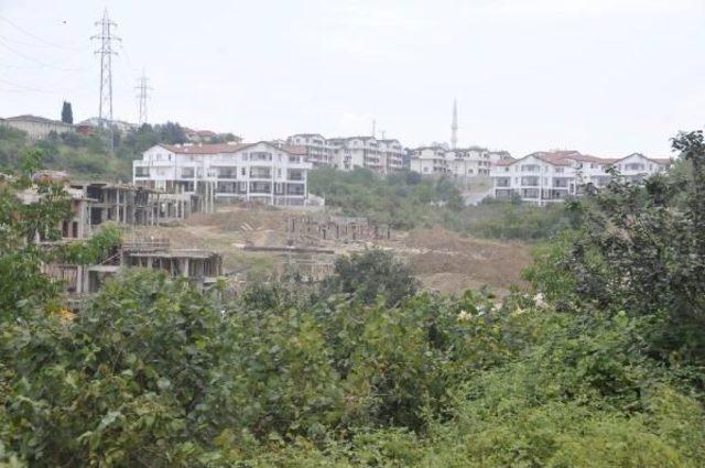 Depremden Sonra Değirmendere nin Fındık Bah&ccedil;eleri Konut Alanına D&ouml;n&uuml;şt&uuml; 1