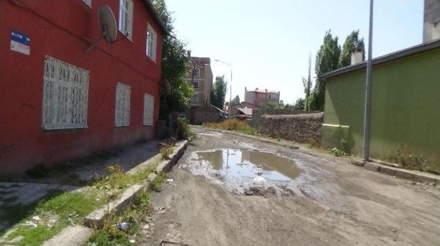 Yeni Mahalle Kazak Sokak Sakinleri Kış Gelmeden Yollarının Yapılmasını İstiyor