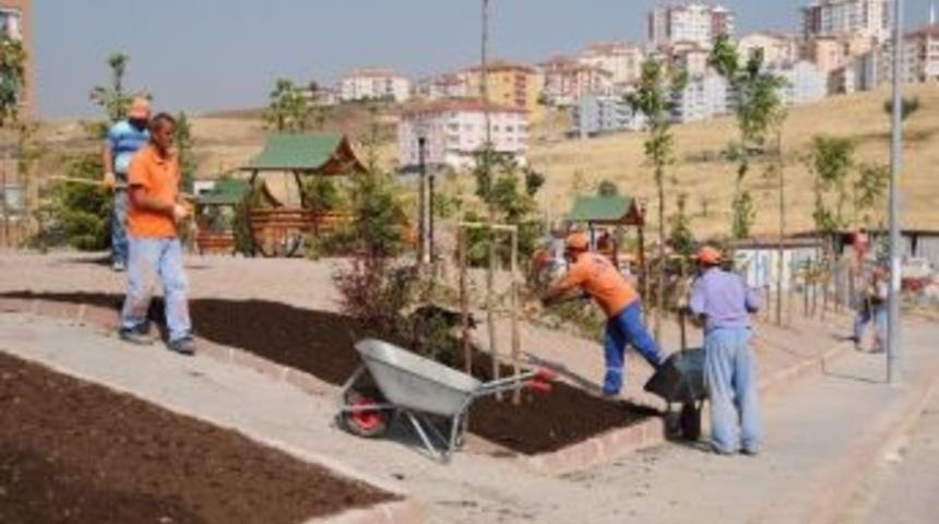 Pursaklar&rsquo;da Park Ve Asfalt &Ccedil;alışması Devam Ediyor