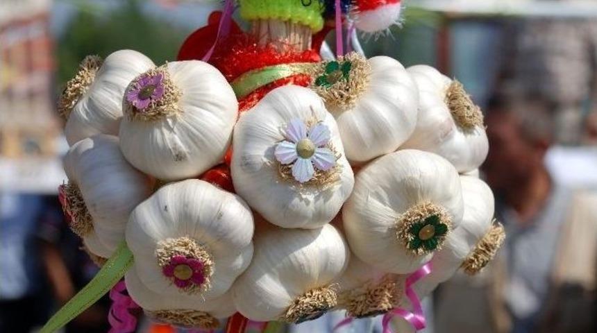 Kastamonu Sarımsak &Uuml;retiminde İlk Sırada