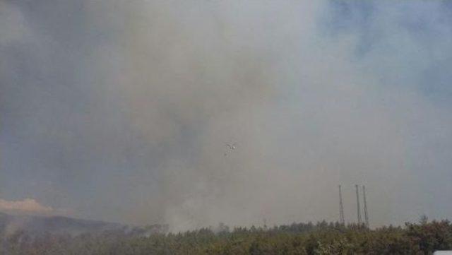 Köyceğiz'de Orman Yangını Nedeniyle Karayolu Trafiğe Kapatıldı- Fotoğraflar