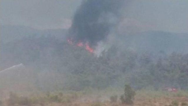 Köyceğiz'de Orman Yangını Nedeniyle Karayolu Trafiğe Kapatıldı- Fotoğraflar