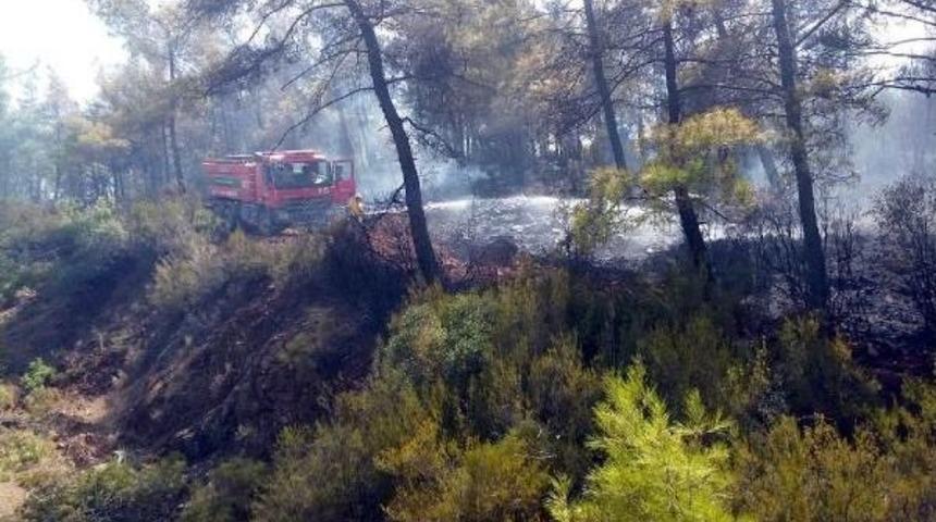 K&ouml;yceğiz'de Orman Yangını Nedeniyle Karayolu Trafiğe Kapatıldı (3)