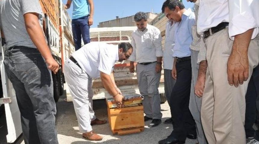 Arıcılığa Polen Tuzaklı Kovan Desteği