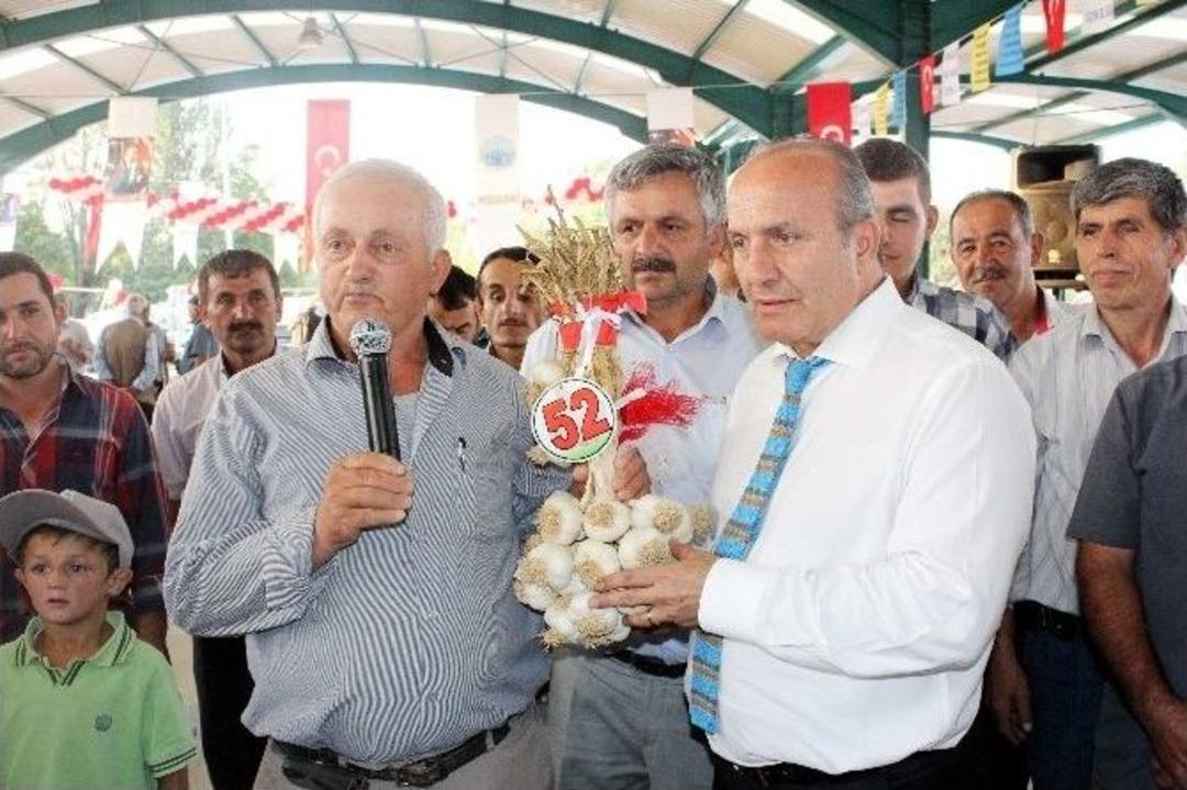 En G&uuml;zel Sarımsak Cumhurbaşkanına Hediye Edilecek