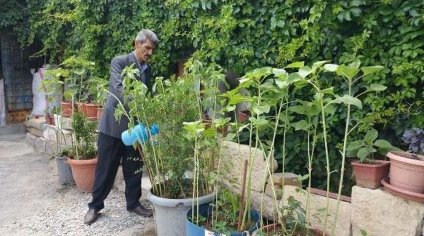 Ev Ve Iş Yerini &Ccedil;i&ccedil;eklerle Donattı