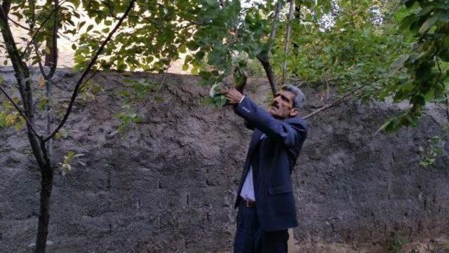 Ev Ve Iş Yerini &Ccedil;i&ccedil;eklerle Donattı 1