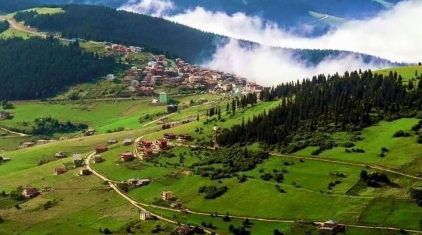 Doğu Karadeniz Bal Deposu