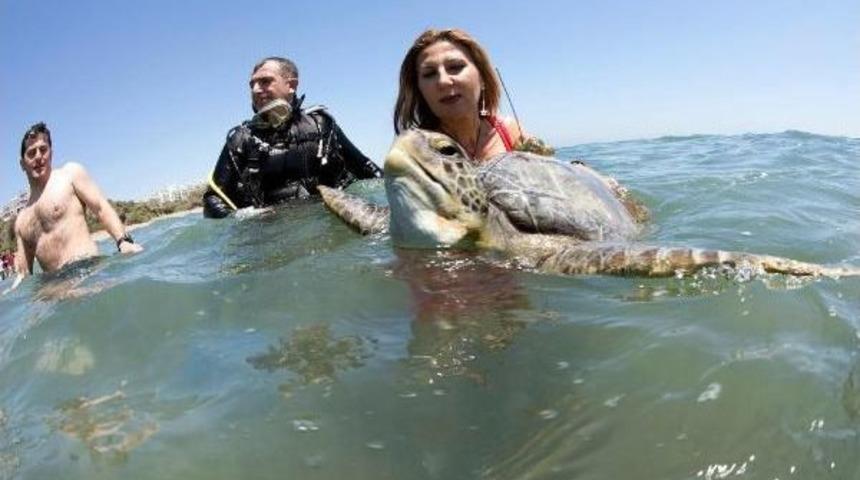 Hindistan'da Caretta Caretta Kaplumbağalarını Anlatacak
