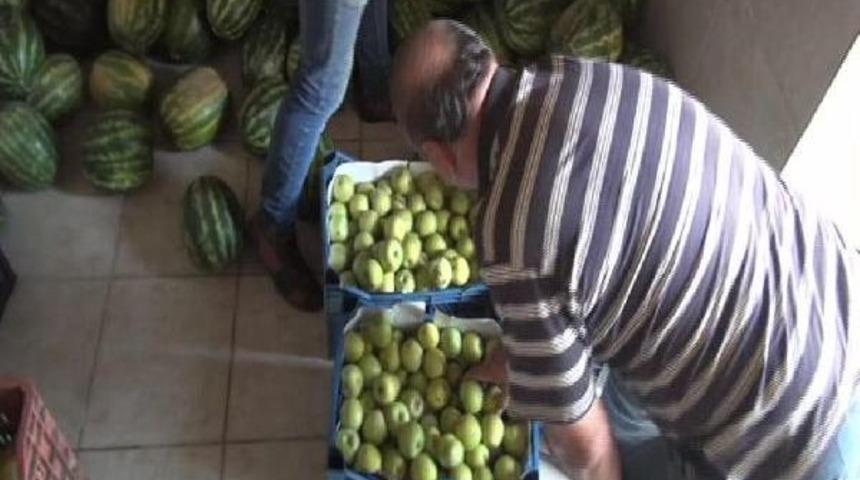 Koruma Altındaki 75 Ayının Yıllık Beslenme Gideri 250 Bin Lira