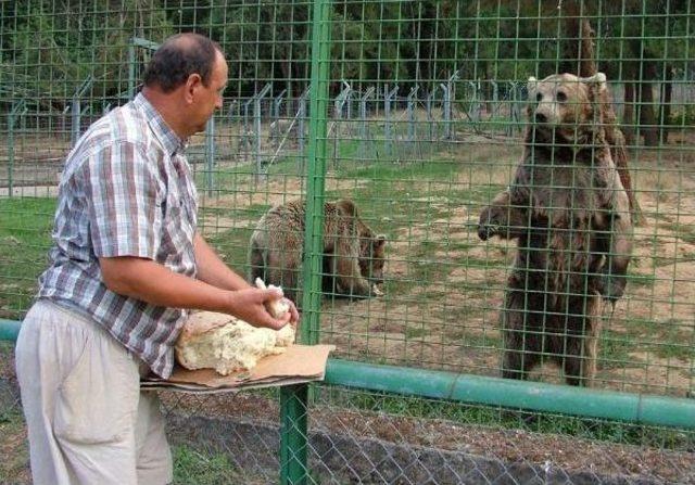 Koruma Altındaki 75 Ayının Yıllık Beslenme Gideri 250 Bin Lira