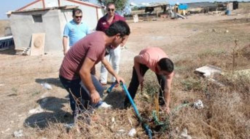 Aski, Ka&ccedil;ak Su Kullananları Affetmiyor