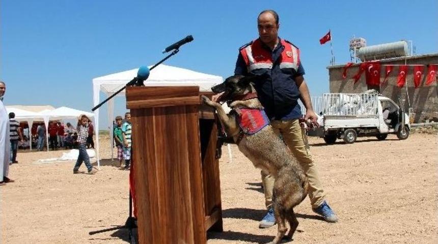 Şehit Asker İ&ccedil;in D&uuml;zenlenecek T&ouml;ren &Ouml;ncesi Yoğun G&uuml;venlik Tedbiri Alındı