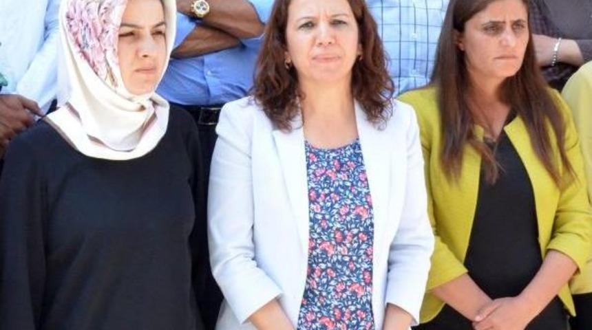 Hdp'den Diyadin'de '&ccedil;ifte &Ouml;l&uuml;m' Araştırması