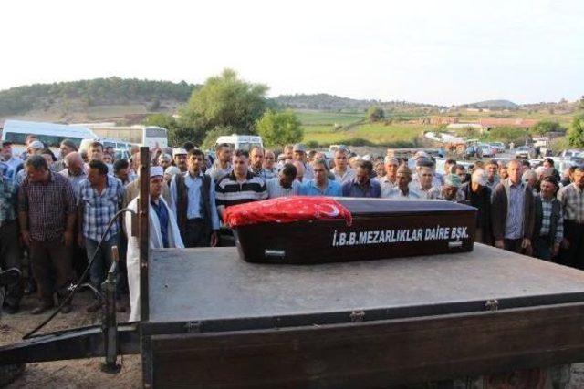 Tek Yumurta &Uuml;&ccedil;&uuml;zlerini Kaza Ayırdı 2