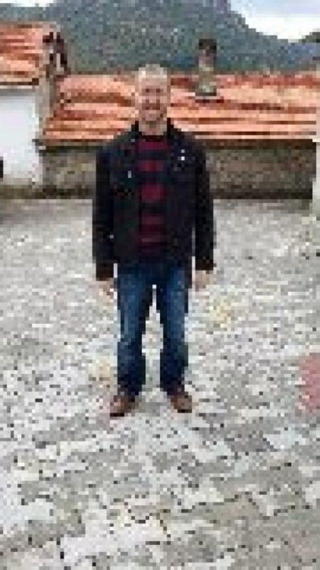 Tek Yumurta &Uuml;&ccedil;&uuml;zlerini Kaza Ayırdı 3