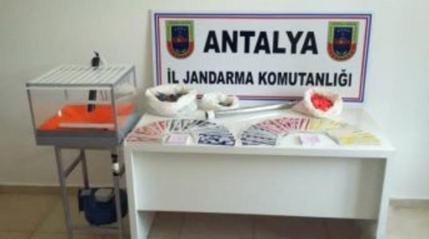 Alanya&rsquo;da Jandarmadan &rsquo;kumar&rsquo; Baskını