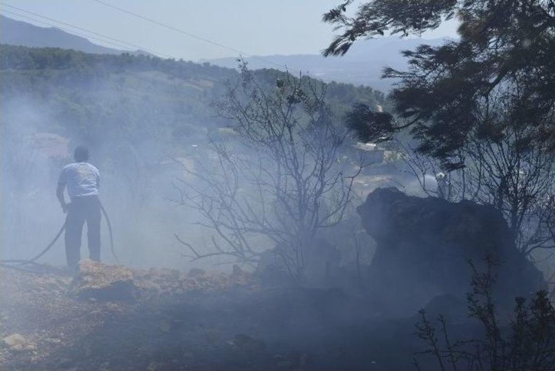 Arılar Can Havliyle Vatandaşlara Saldırdı