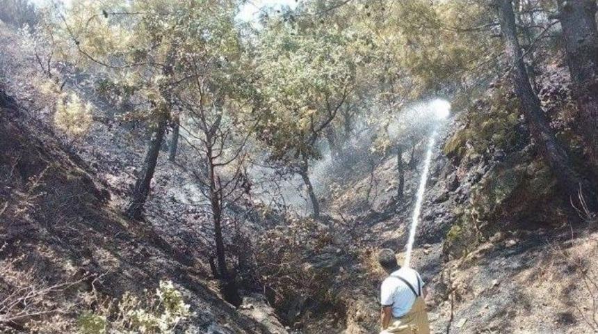 Orman Yangını B&uuml;y&uuml;meden S&ouml;nd&uuml;r&uuml;ld&uuml;