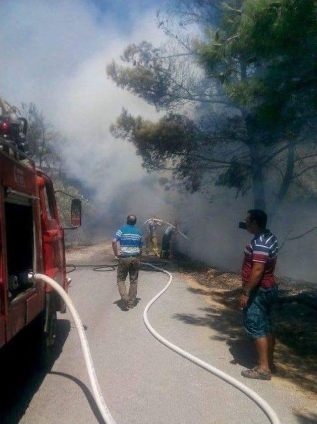 Orman Yangını Büyümeden Söndürüldü