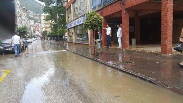 Sağanak Yağmur, Ordu'da Etkili Oldu