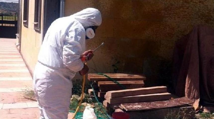 Tomarza'da Sinek Ve Haşerelerle M&uuml;cadele