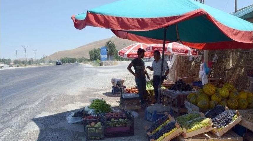 Tarladan T&uuml;keticiye Organik Sebze