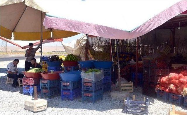 Tarladan T&uuml;keticiye Organik Sebze 1