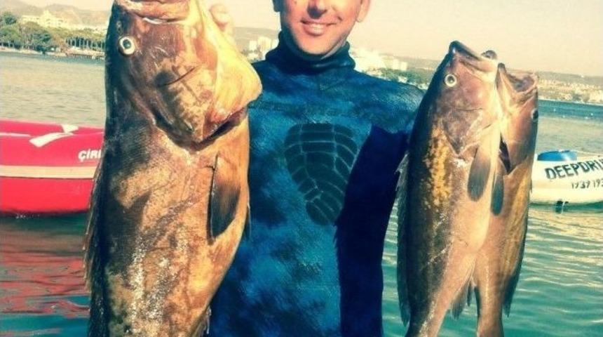 Didimli H&uuml;seyin Taşdibi, Zıpkınla Balık Avı Milli Takımına Se&ccedil;ildi