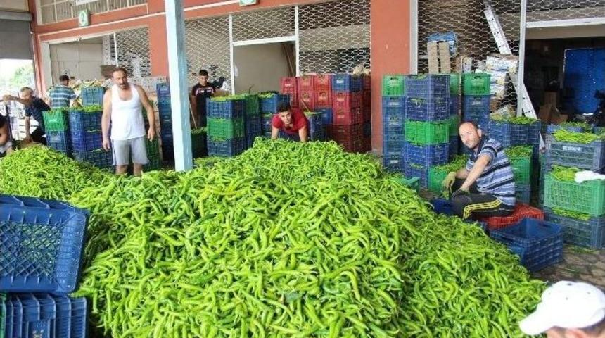 Sebze Ve Meyve Hali Sıkıntılı