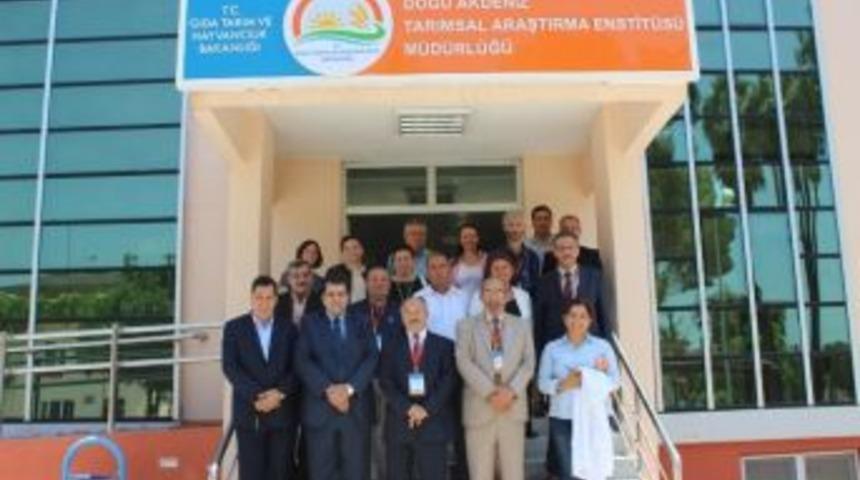 Adana, Irak&rsquo;a Buğday İhra&ccedil; Edecek