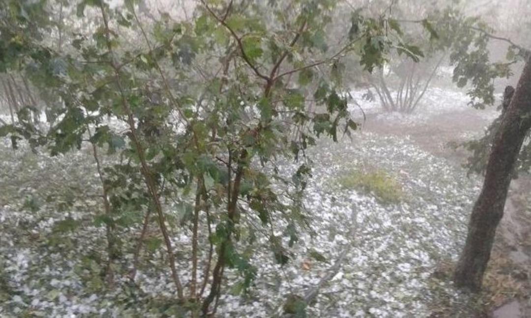 Fındığı Dolu Vurdu