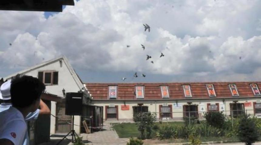 Posta G&uuml;vercinleri 7 Saatte Konya'dan Eskişehir'e Geldi