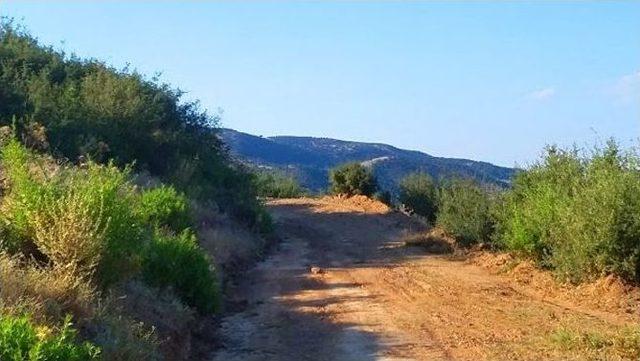 Alaşehir Şantiyeye Döndü