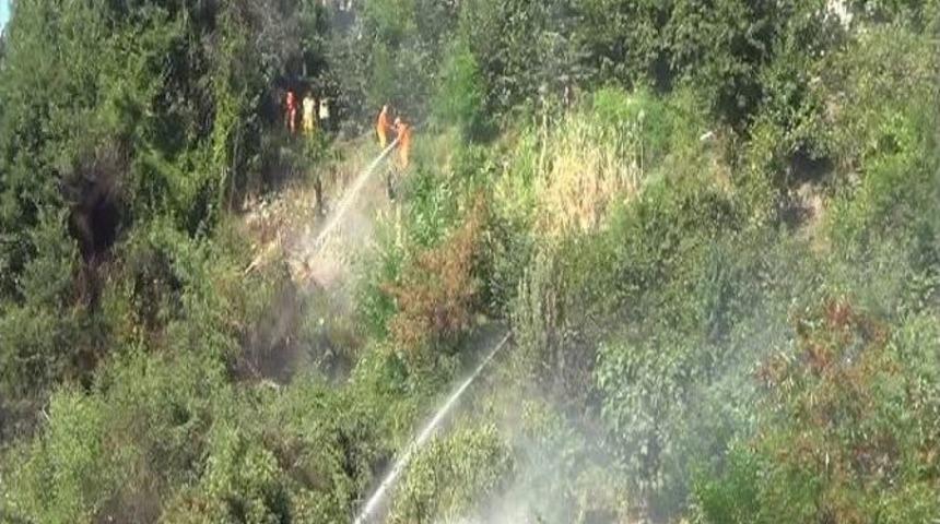 Zonguldak&rsquo;ta &Ccedil;ıkan Yangın Korkuttu