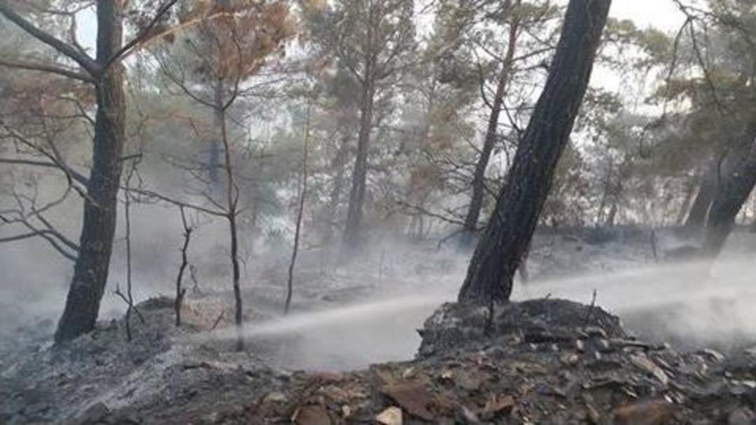 Gazipaşa&rsquo;da Bir G&uuml;nde 4 Yangın