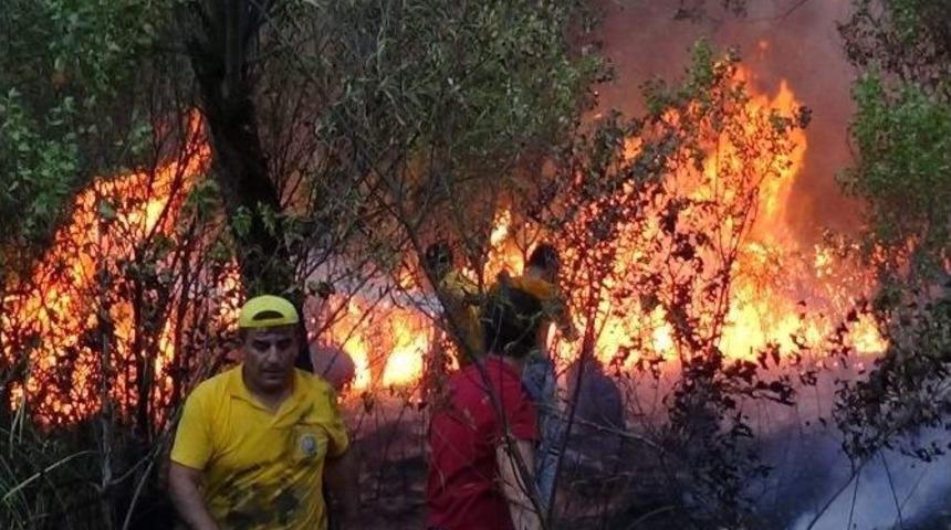 Siirt&rsquo;te Orman Yangını