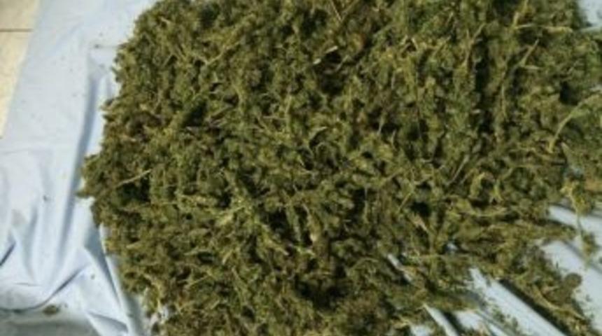 Jandarmadan Esrar Operasyonu