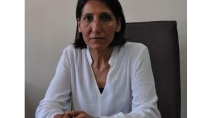 Tarım Krediden Mantar &Uuml;reticine 6 Ay Faizsiz Kompost