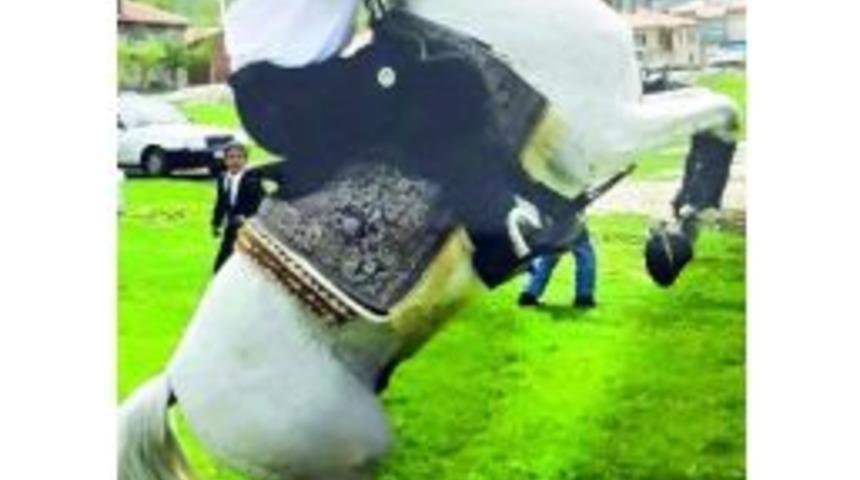 Bu Da Şampiyon Fabrikası