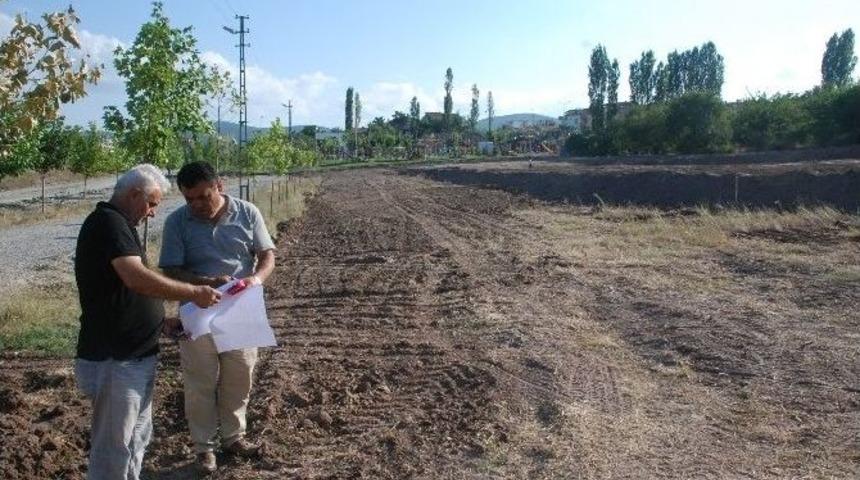 Almus&rsquo;a Bungalov Evleri