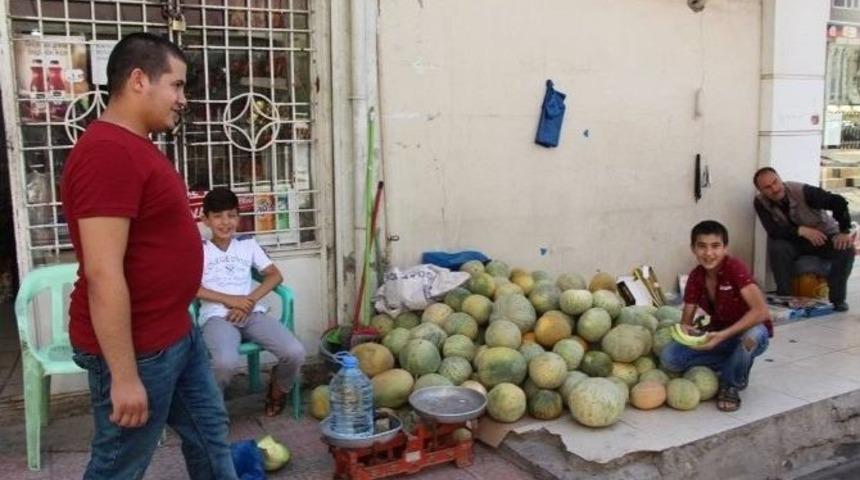 Silopi&rsquo;de Kavun Fiyatı 25 Kuruşa D&uuml;şt&uuml;