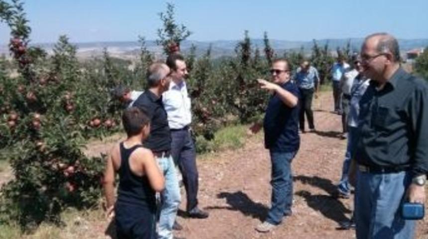 Kapama Bah&ccedil;e Kontrolleri Yapıldı