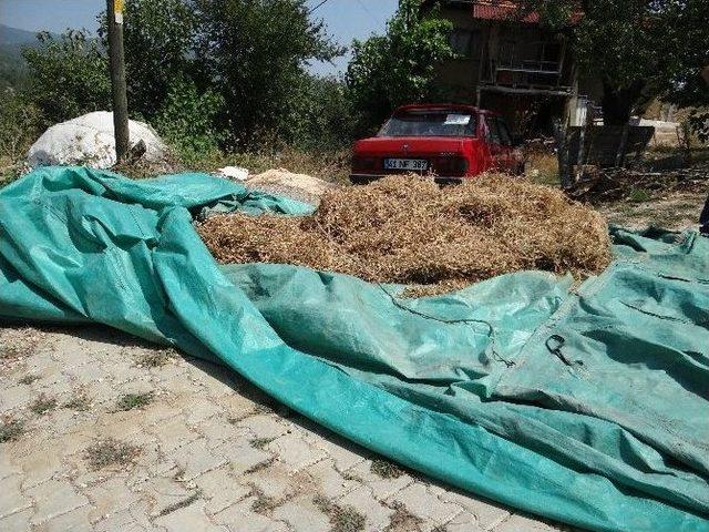 Hacıdurmuşlar K&ouml;y&uuml;nde Trafik Kazası, 1 &Ouml;l&uuml; 2